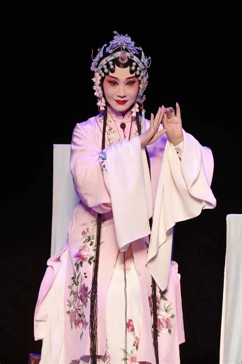 Unprecedented in History, Suzhou Opera on The Big Screen