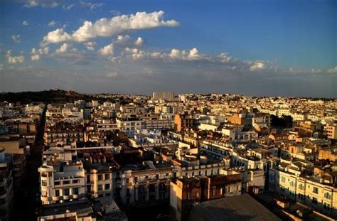 游览美丽的突尼斯市，感受独特风土人情和旅游景区|突尼斯市|图书馆|博物馆_新浪新闻