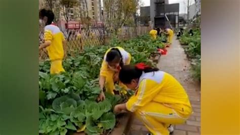 澎湃新闻：不做“必剩客”，“制止餐饮浪费”行动覆盖上海三千余所学校