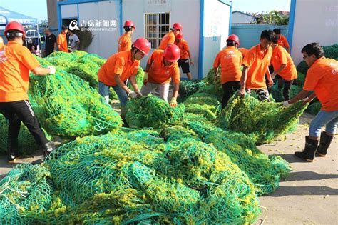 青岛今年浒苔打捞或破百万吨，大部分腐熟后将投海处理_腾讯视频