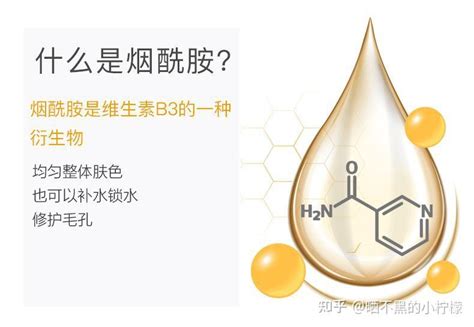 西安交通大学845经济学考研-知识点84：有垄断势力的要素市场与双边垄断 - 知乎