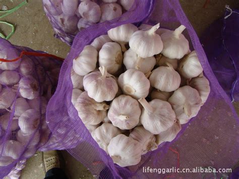 新鲜蒜出口印尼越南巴西南美北非大蒜常年供应中莱芜大蒜-阿里巴巴
