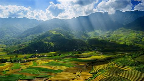 美丽的绿色田野高清图片下载_红动中国