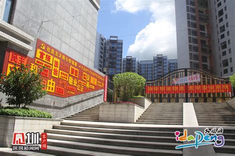 火力全开!大鹏新区2020年1-5月固定资产同比增长42.4%_深圳新闻网