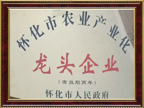 2017年怀化市龙头企业_公司荣誉证书_湖南省沅陵碣滩茶业有限公司