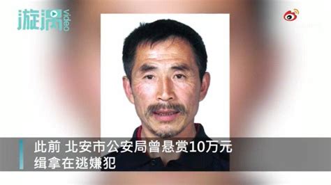 警方通报黑龙江特大杀人案件 ：嫌犯尸体及作案枪支已找到_新浪新闻