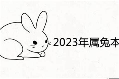 2023年兔年是什么命几月生的好？属兔本命年是_太岁_若朴堂文化