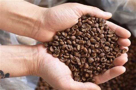 十大最好喝的咖啡豆品牌，咖啡豆哪些品牌比较好