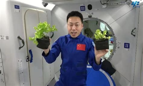 太空中宇航员吃什么？食物是如何才能被送到太空，网友：恍然大悟！