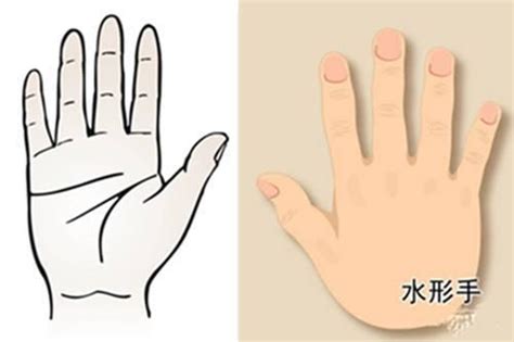 人的手型可以分为几种类型（人的手型有几种）-紫微星座网