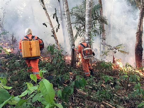 看了巴西亚马逊雨林大火，更感叹中国消防员的伟大！ - 雷科技