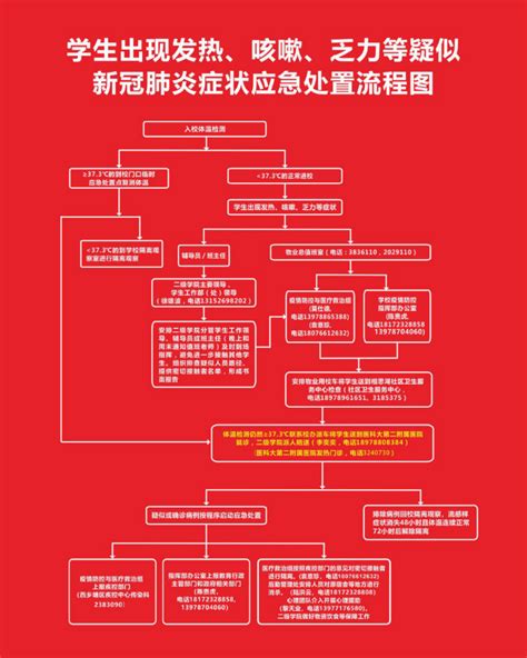 发热学生应急处置流程图_word文档在线阅读与下载_免费文档