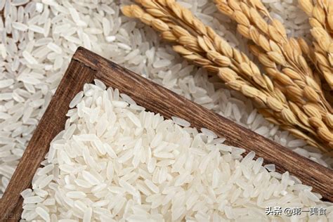 大米含有哪些营养 大米的营养价值_营养知识_食品常识_食品科技网