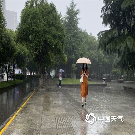 雨淋淋 湖北武汉新一轮降雨过程开启-图片-中国天气网