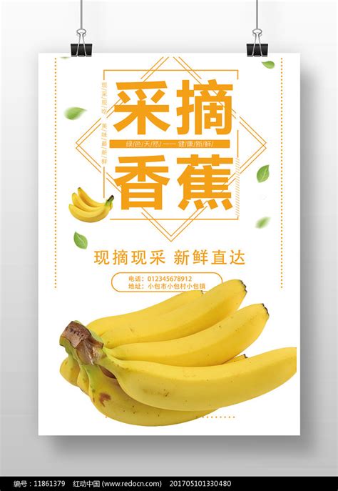 淘宝天猫香蕉详情页设计模板素材