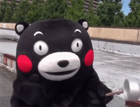 熊本熊表情包图片