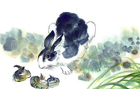 “兔年话兔”特展在中国古动物馆开展----中国科学院古脊椎动物与古人类研究所