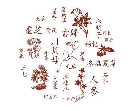 连生堂中医馆logo设计 - 标小智