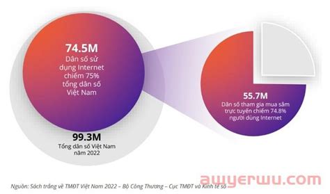 越南电商市场将达400亿美元，TikTok正在崛起_石南学习网