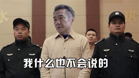 林满江被抓后，齐本安却是众叛亲离，这竟是朱道奇的阴谋_京州_集团_董事长