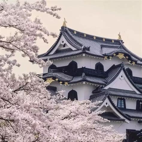 日本的滋贺县(Shiga)古名叫近江国_[标签:标题1]