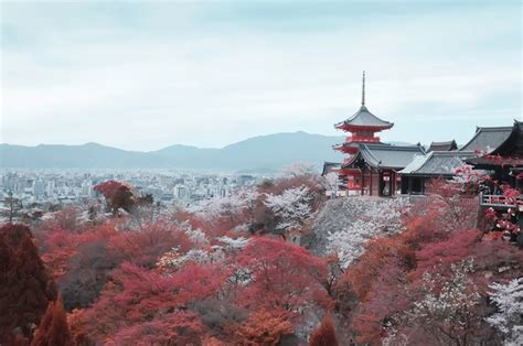 日本适合居住的城市有哪些呢？全面解析日本最宜居城市TOP10