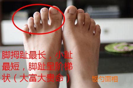 测试：你的脚趾是哪种形状，就是什么命！看看你是不是天生富贵命|脚趾|富贵命|富贵_新浪新闻