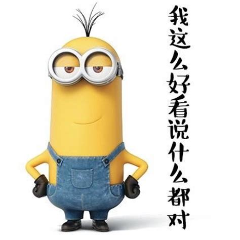 小黄番图片