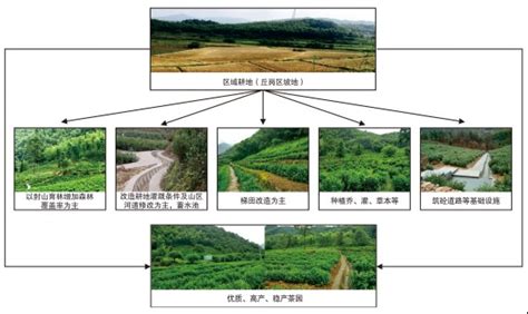 贵州奋力走好现代山地特色高效农业发展之路-贵阳网