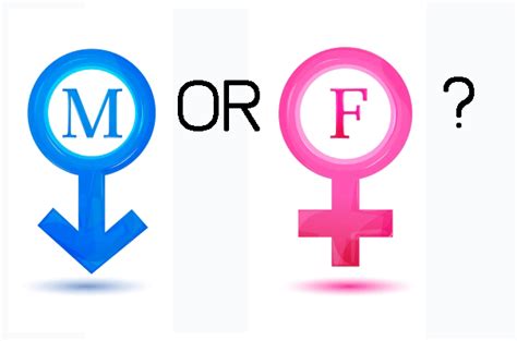 男性化与女性化倾向测试-你骨子里是男还是女？-心理测试 - 悦焓信息