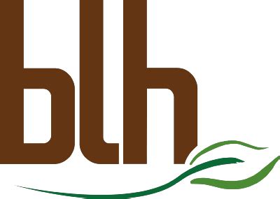 BLH letter logo creative design with vector graphic, BLH simple and ...