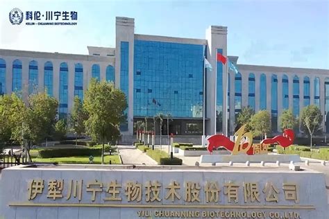 浙能集团所属伊犁新天煤化工年输气量达17.93亿方纪实