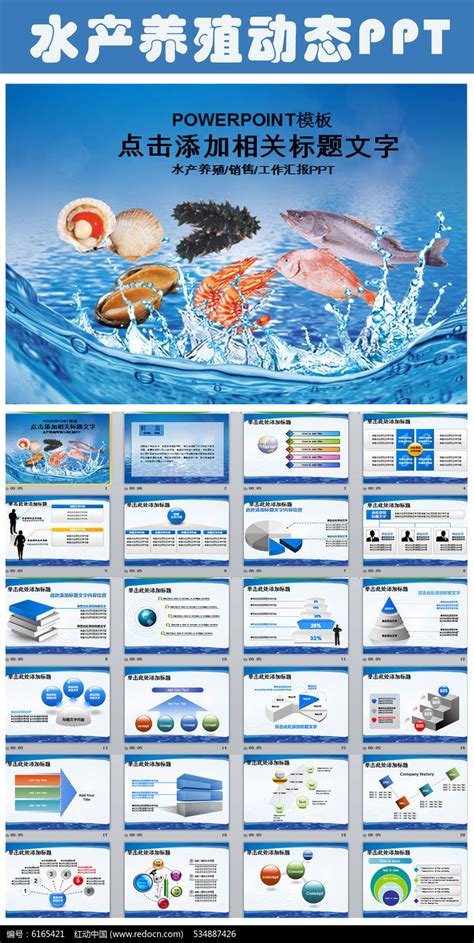 水产公司宣传册设计图__画册设计_广告设计_设计图库_昵图网nipic.com