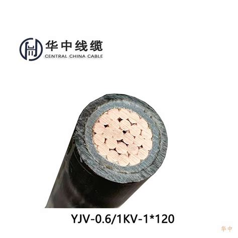 电线电缆生产厂家WDZ-YJY3*10电缆价格-国标电线电缆厂家