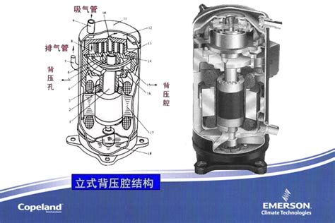 涡旋式空气压缩机介绍【斯格耐特公司官网】 - 斯格耐特动力设备（大连）有限公司