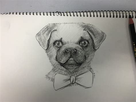 可爱的小狗狗侧身素描手绘画教程图片 小狗狗素描怎么画 狗狗素描画法[ 图片/8P ] - 才艺君