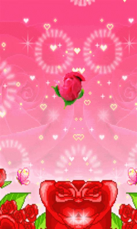动态玫瑰花朵手机壁纸,动态玫瑰花闪动图片,玫瑰手机壁纸_大山谷图库
