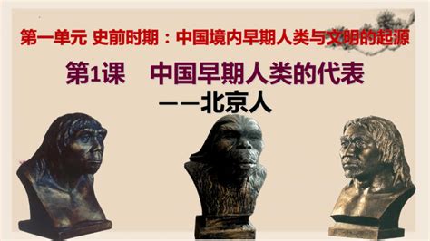 第1课 中国境内早期人类的代表—北京人 课件(共24张PPT)-21世纪教育网