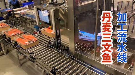 高端制造人工智能机器人流水线厂房生产场景—高清视频下载、购买_视觉中国视频素材中心