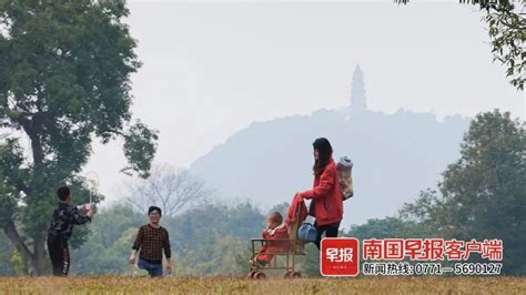 【桂马】桂林总有不一样的风景呈现-最新资讯-桂林阳朔世外桃源景区官方网站