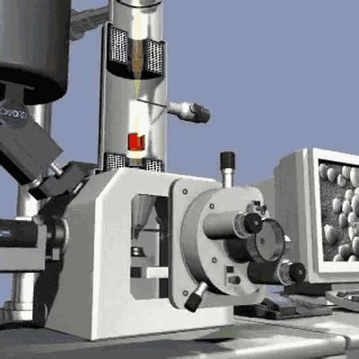 扫描电子显微镜（SEM）引领材料人探秘微观世界！ >> 测试项目案例
