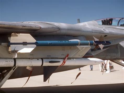 雄猫天书！F-14战斗机的故事和图集（多图杀猫！）__凤凰网