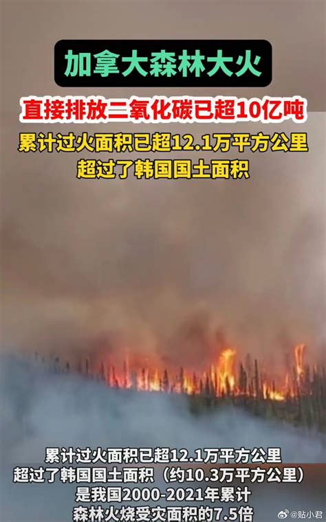 加拿大山林大火火势减缓 北部民众已全部撤离 _新闻频道_中国青年网