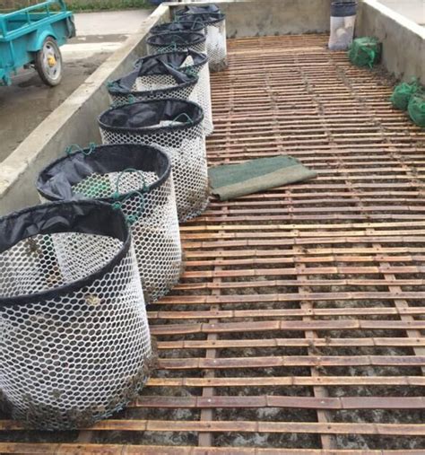 水产养殖塑料网-安平县正聪金属丝网厂