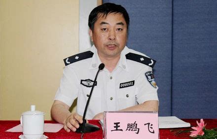 重庆市公安局领导，有调整|汪绍敏|副局长|应急_新浪新闻