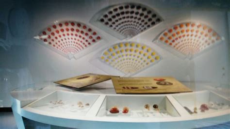 大连贝壳博物馆 - 每日环球展览 - iMuseum