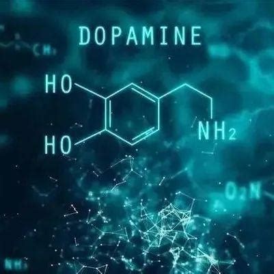 多巴胺是什么？它有哪些功能？ - 知乎