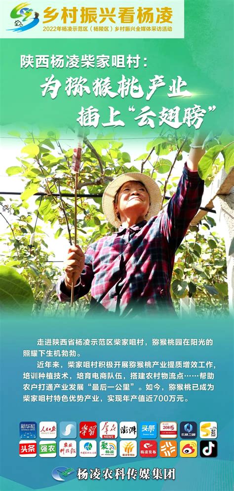 “上合你好 我是杨凌” 2022上合组织农业基地云上推介会举行_新闻频道_中华网