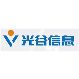 武汉光谷信息技术股份有限公司