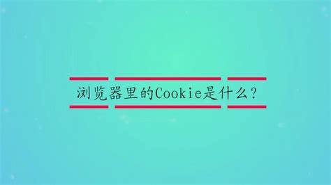 浏览器里的Cookie是什么？